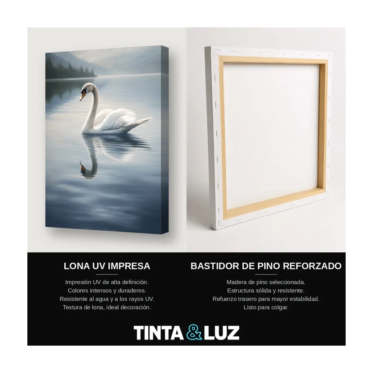 CISNE SERENO