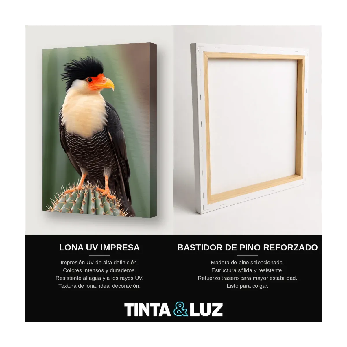 CARACARÁ