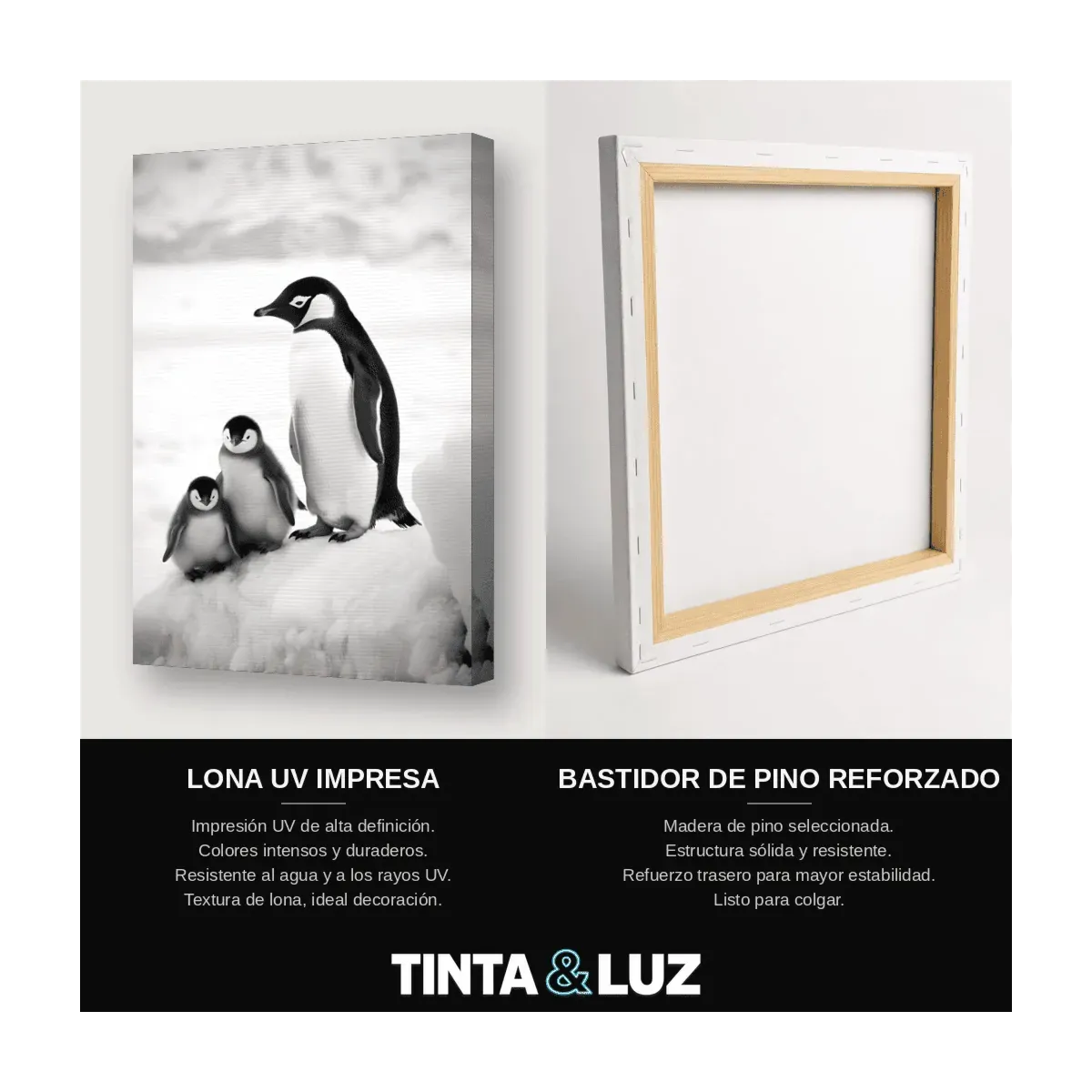 PINGÜINOS FAMILIA