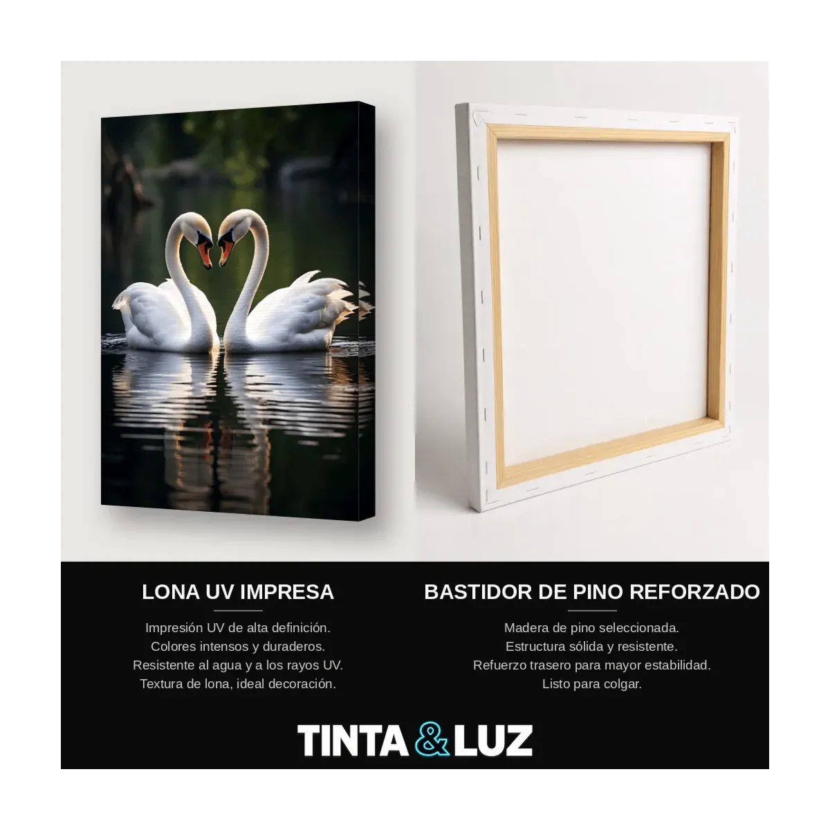 CISNES CORAZÓN
