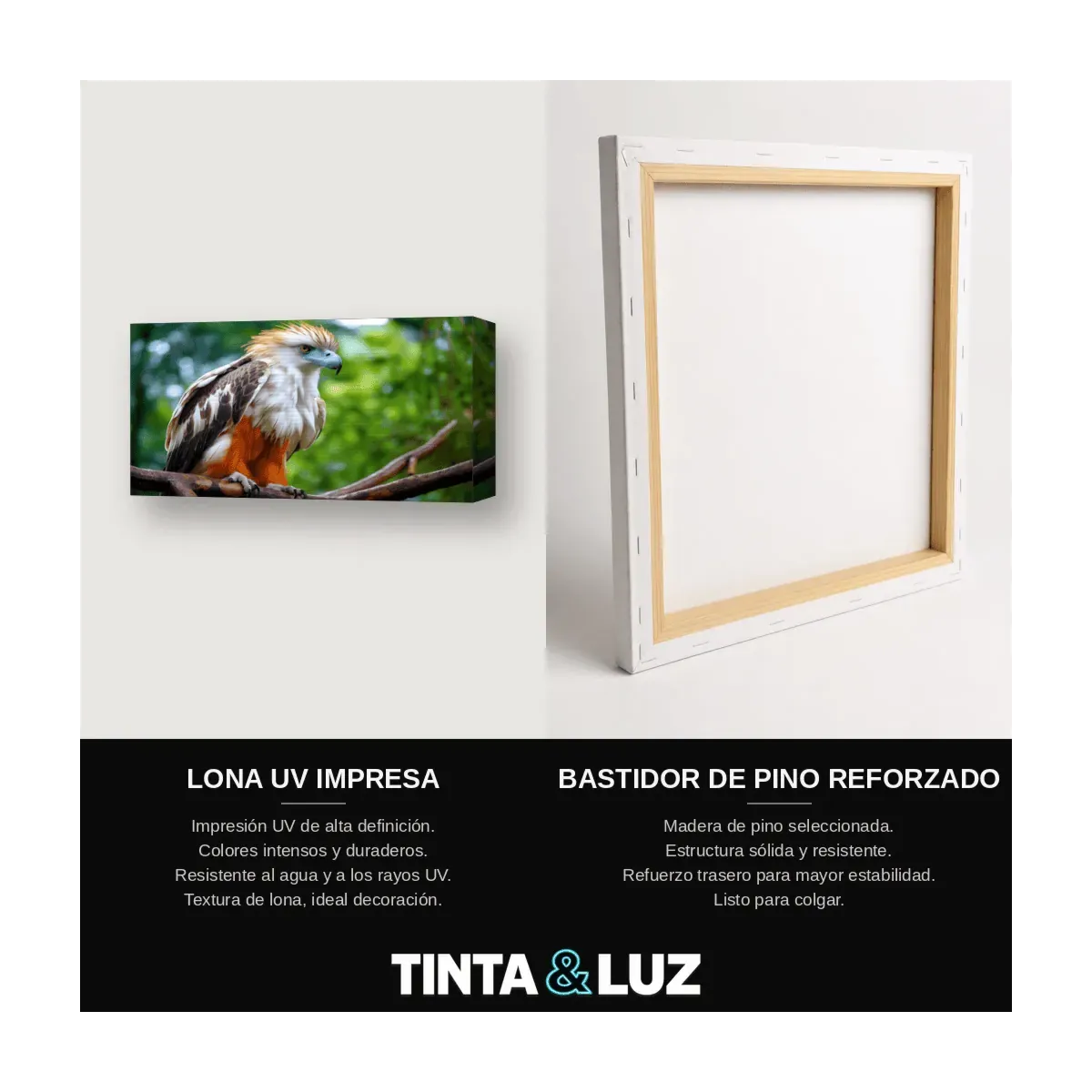 HALCÓN ROJIZO