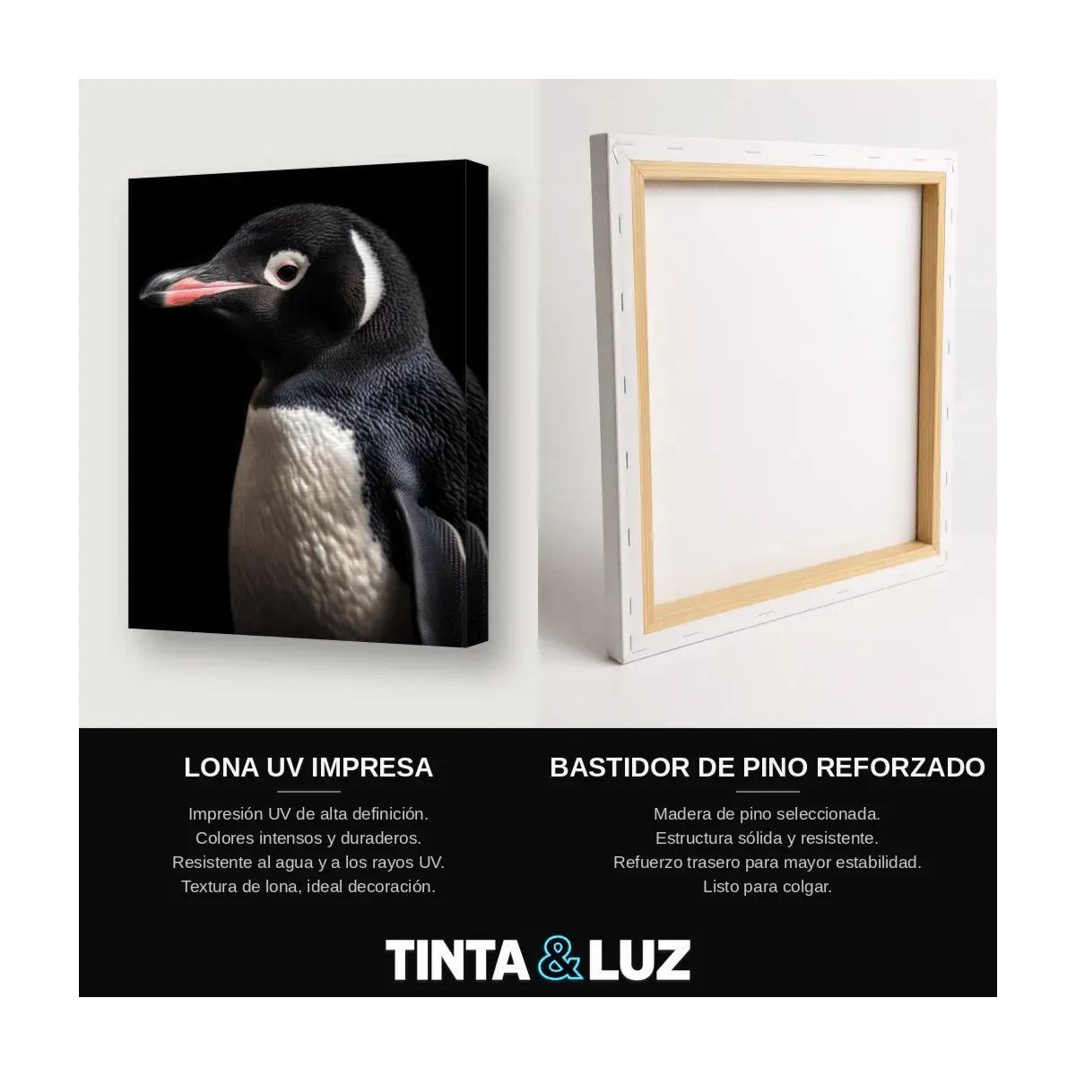 PINGÜINO EN PERFIL
