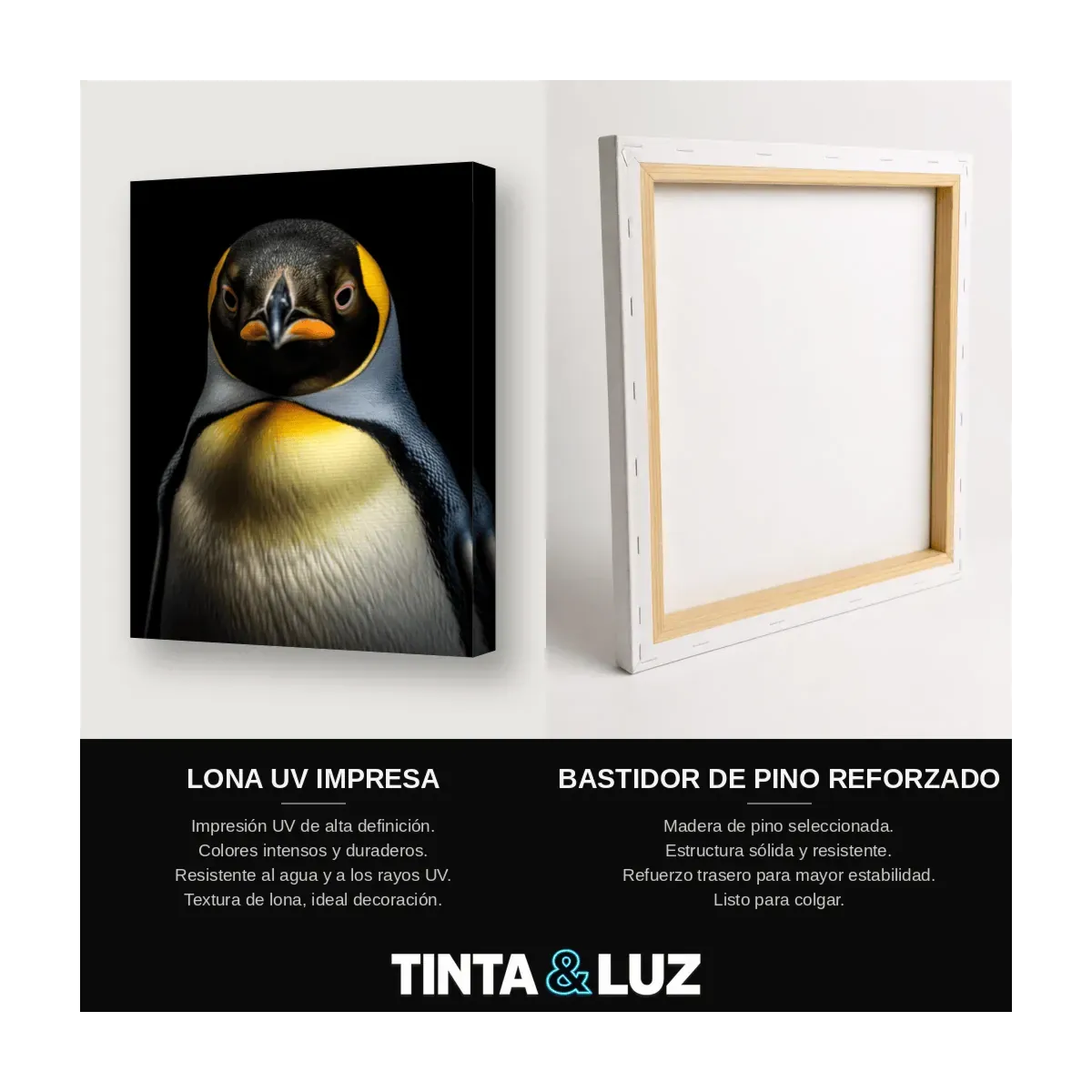 PINGÜINO REY III