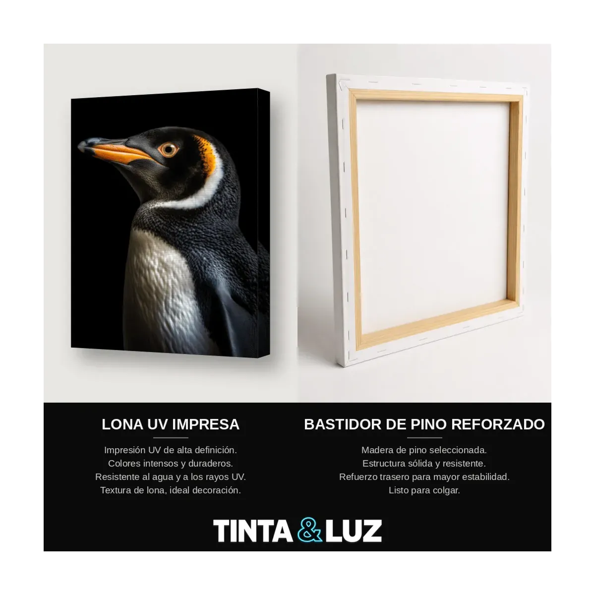 PINGÜINO DORADO