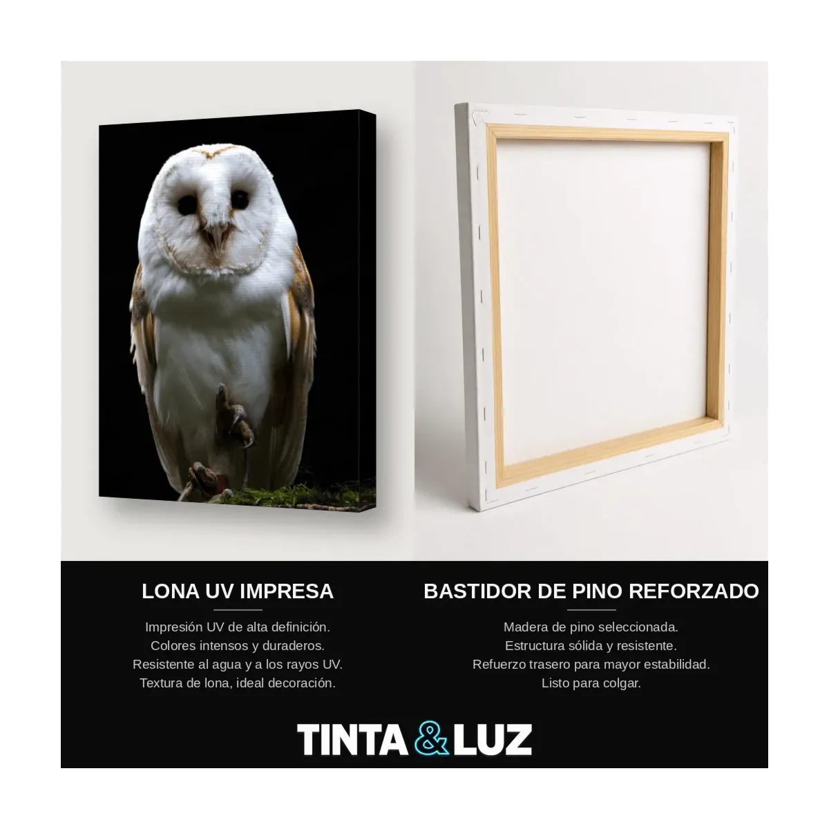 LECHUZA BLANCA