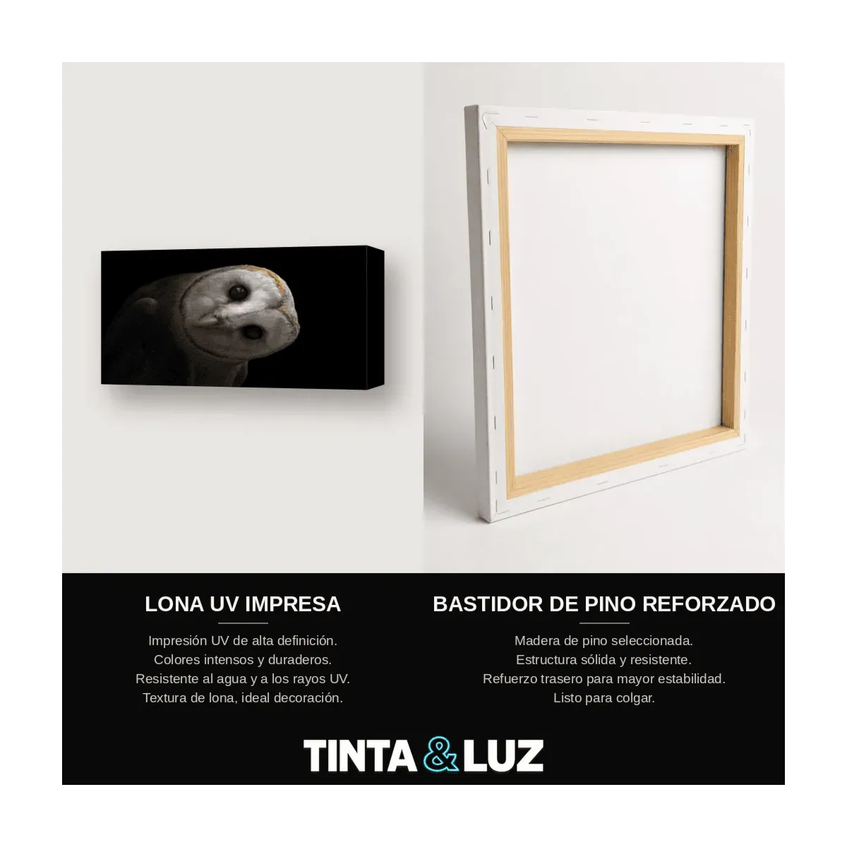 BÚHO EN LA OSCURIDAD