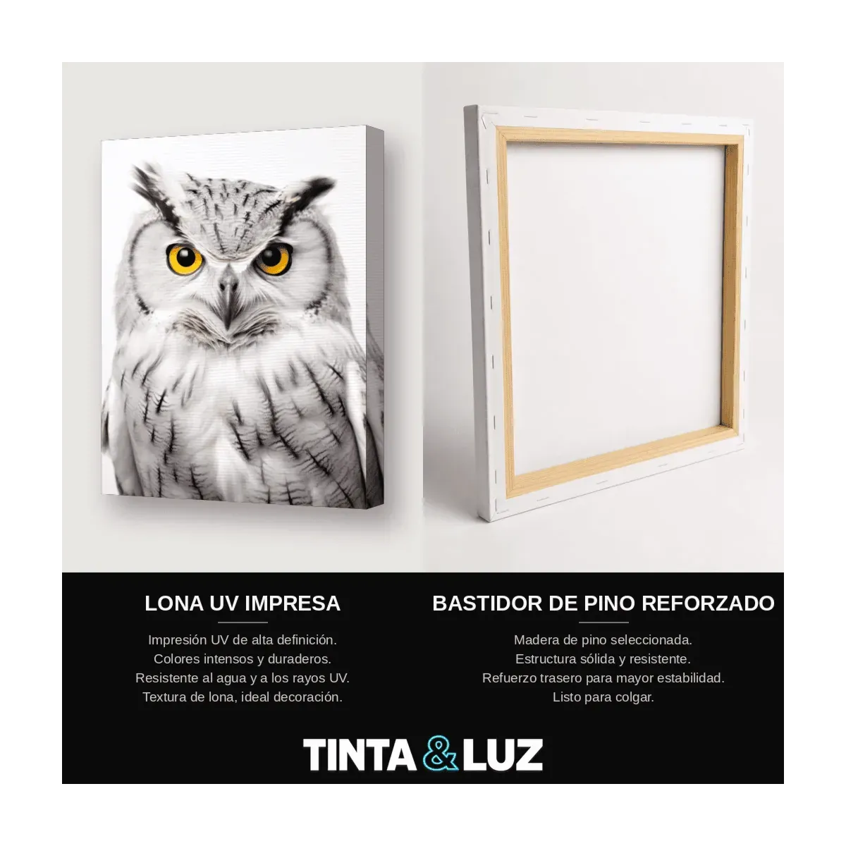 BÚHO BLANCO OJOS AMARILLOS