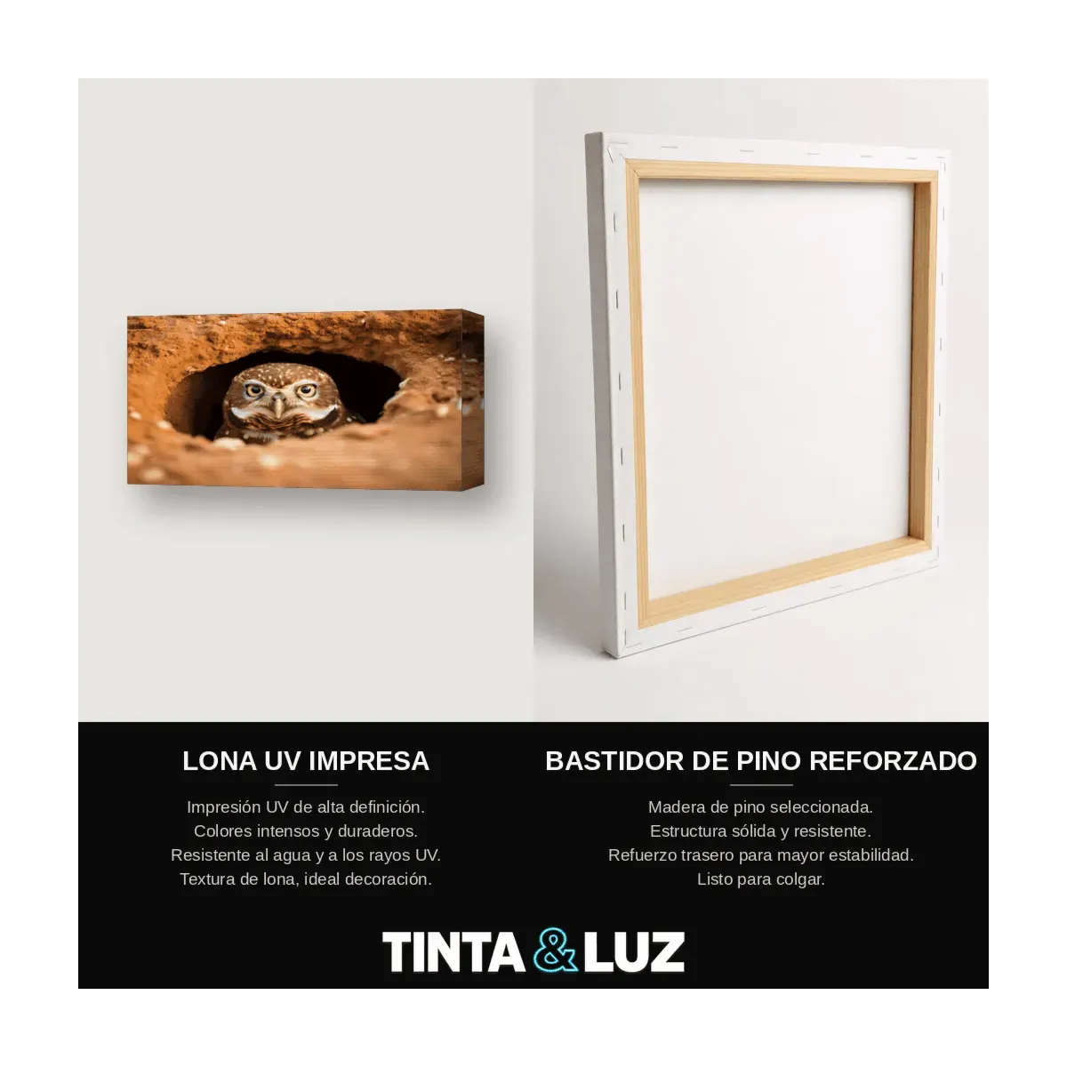 LECHUZA EN EL TRONCO