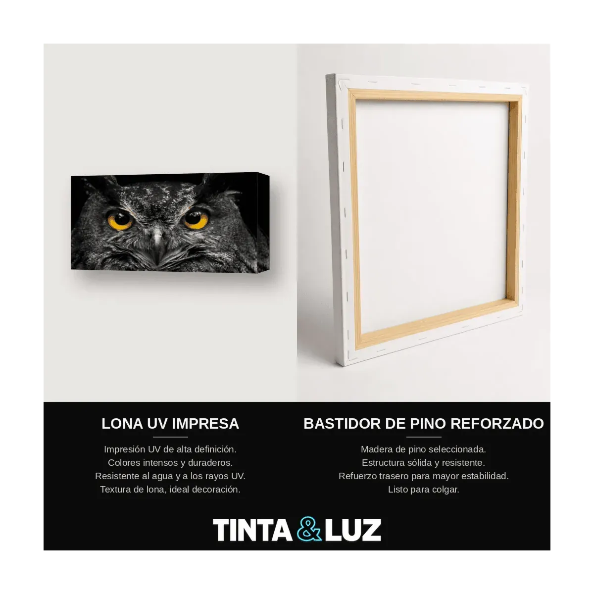 BÚHO OJOS DORADOS III