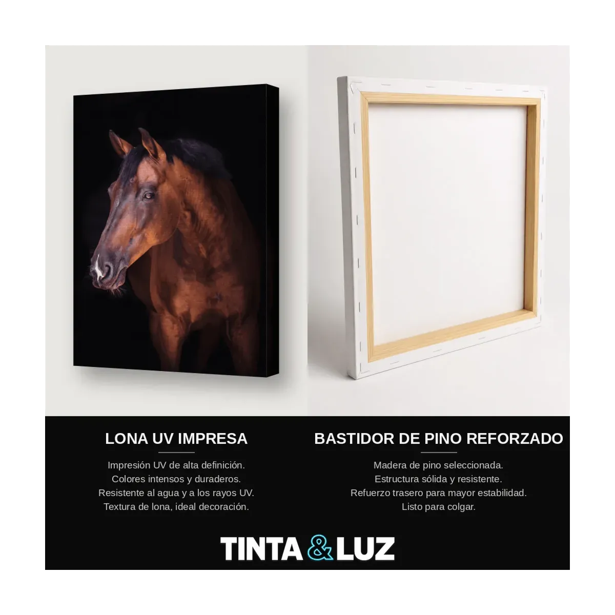 CABALLO ALAZÁN
