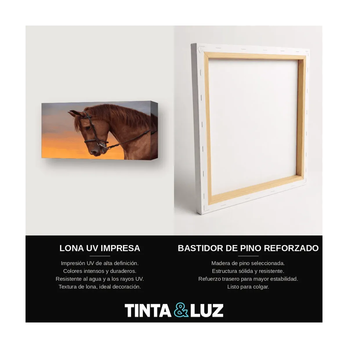 CABALLO CASTAÑO