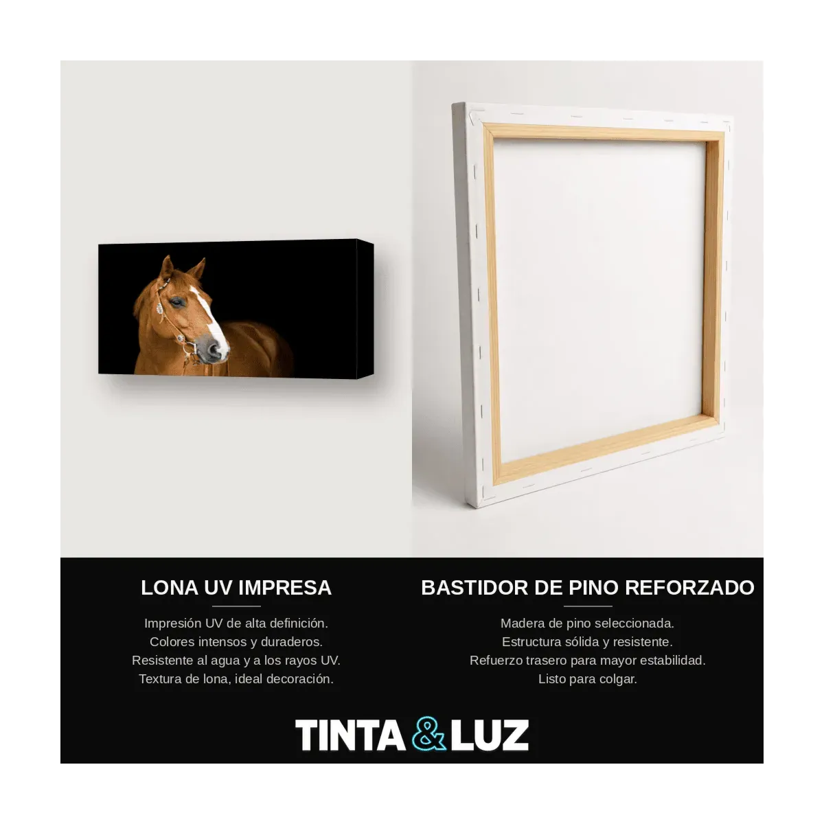CABALLO NEGRO II
