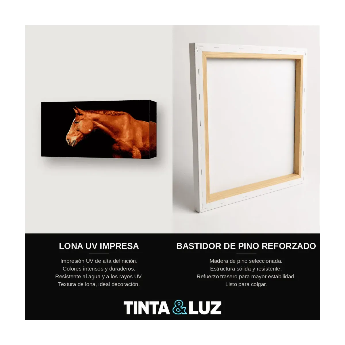 CABALLO OSCURO