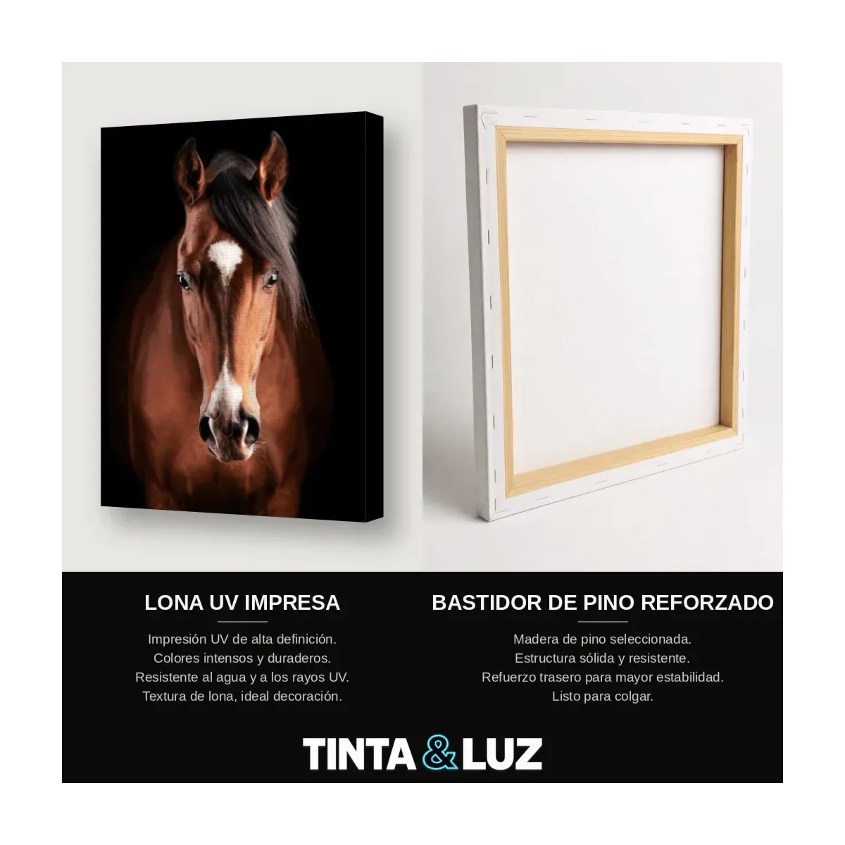CABALLO BLANCO II