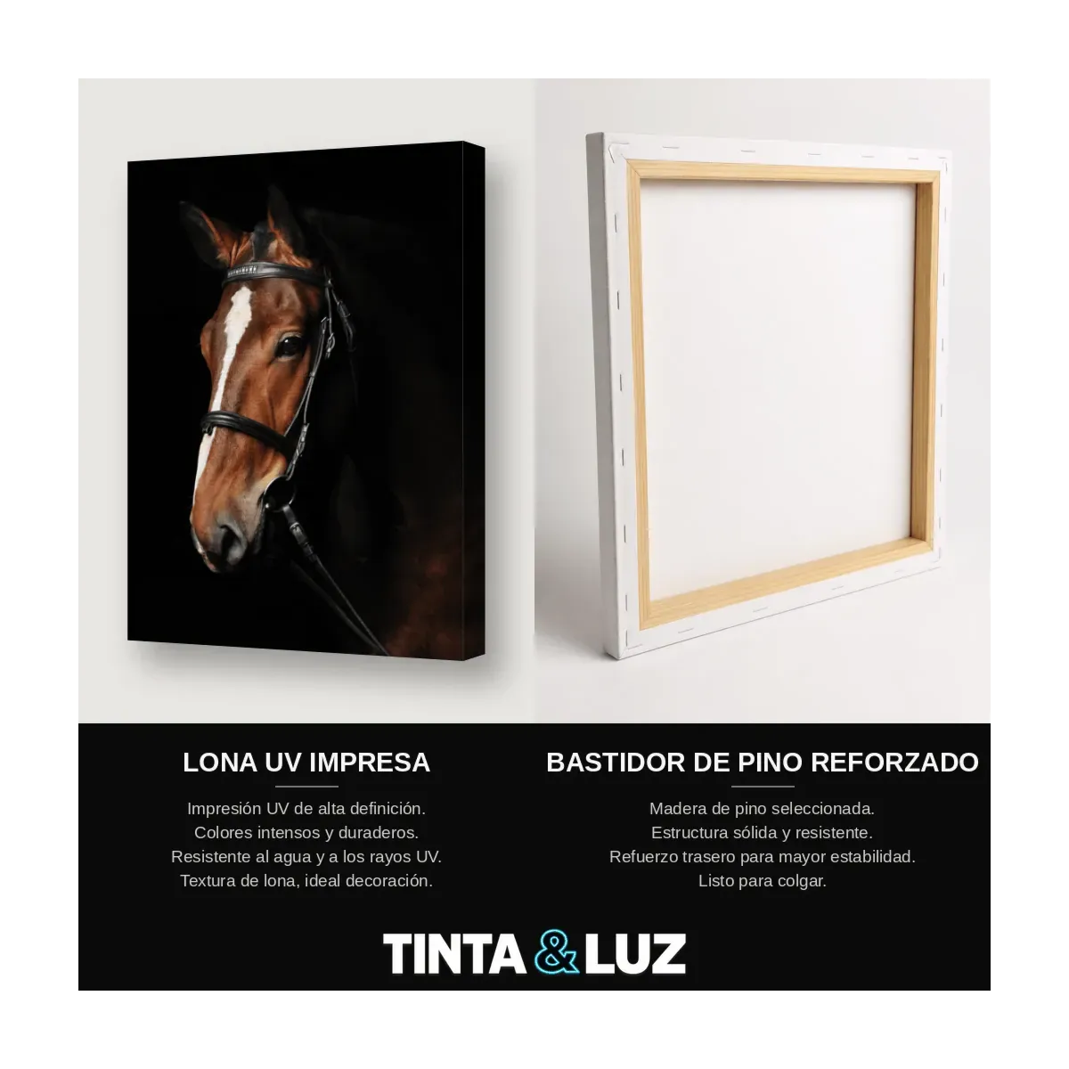 CABALLO BLANCO III