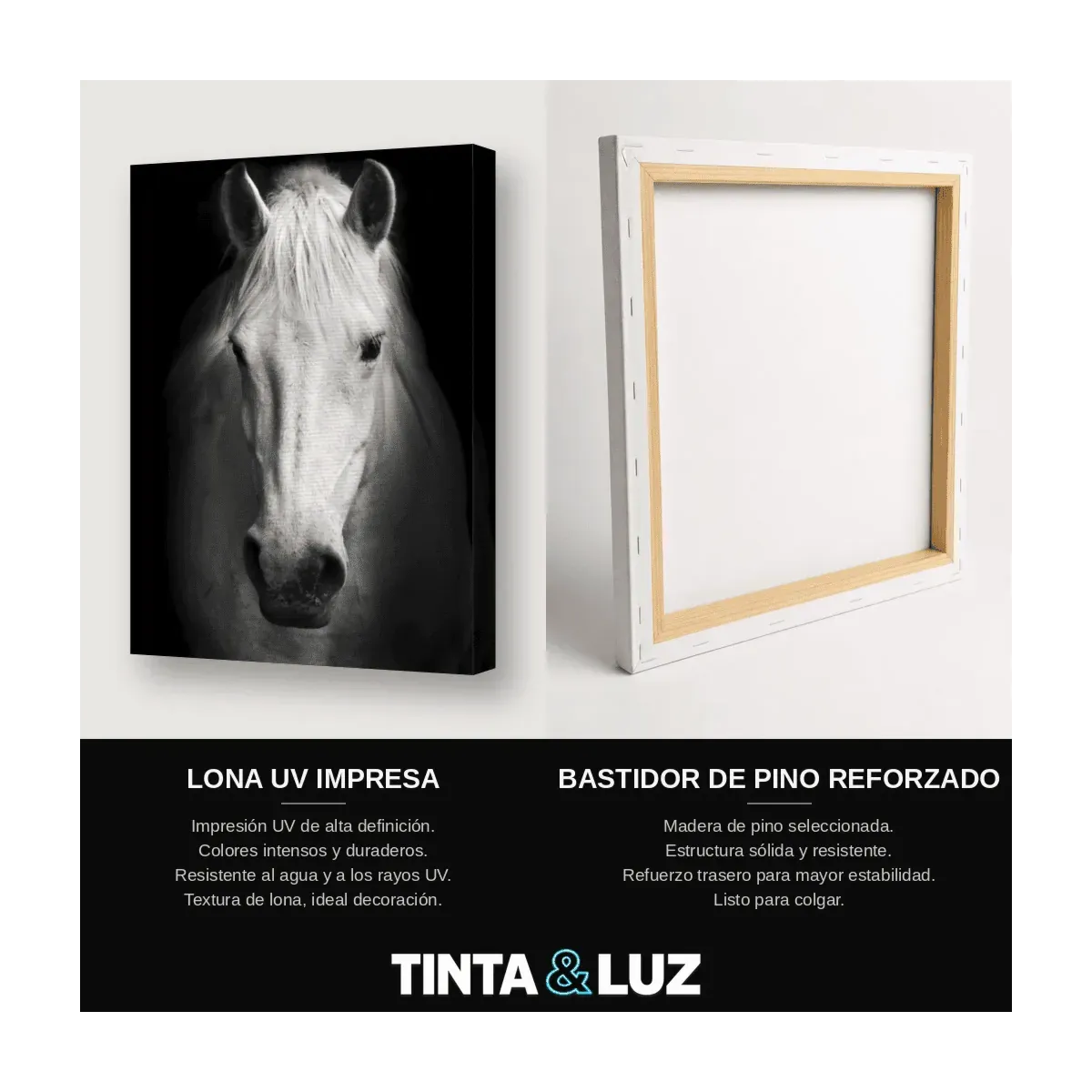 CABALLO BLANCO IV