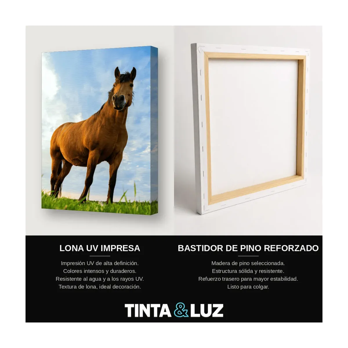 CABALLO ALAZÁN III
