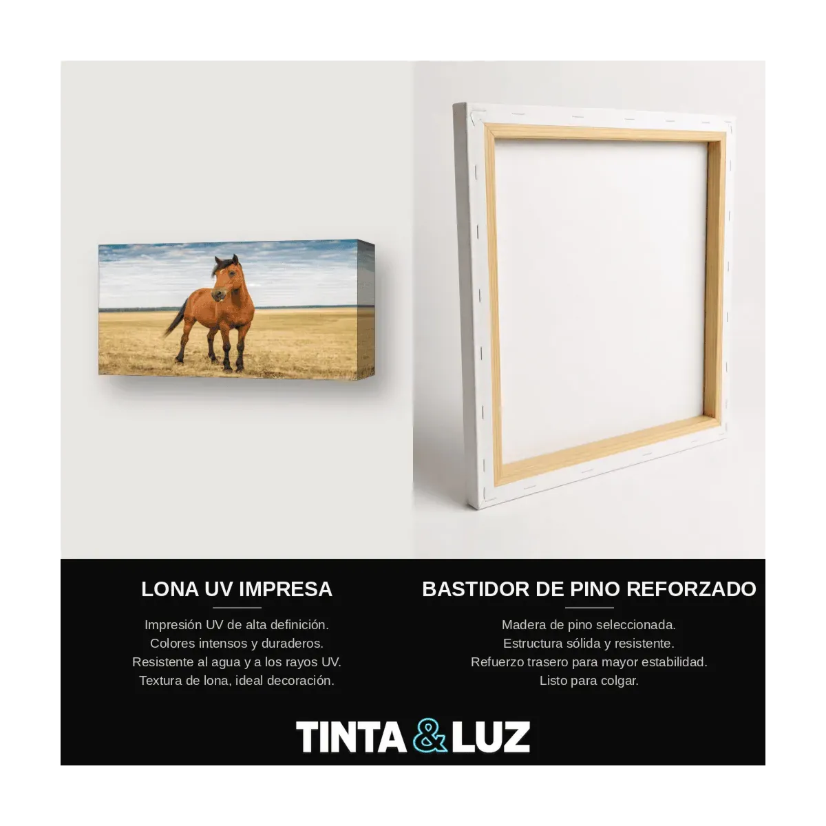 CABALLO Y POTRO