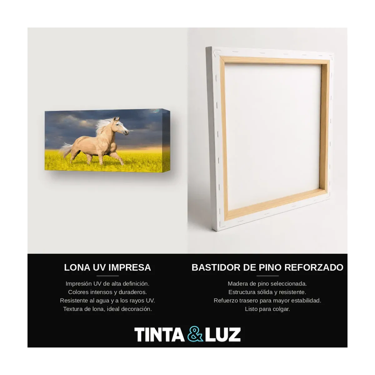 CABALLO BLANCO VI