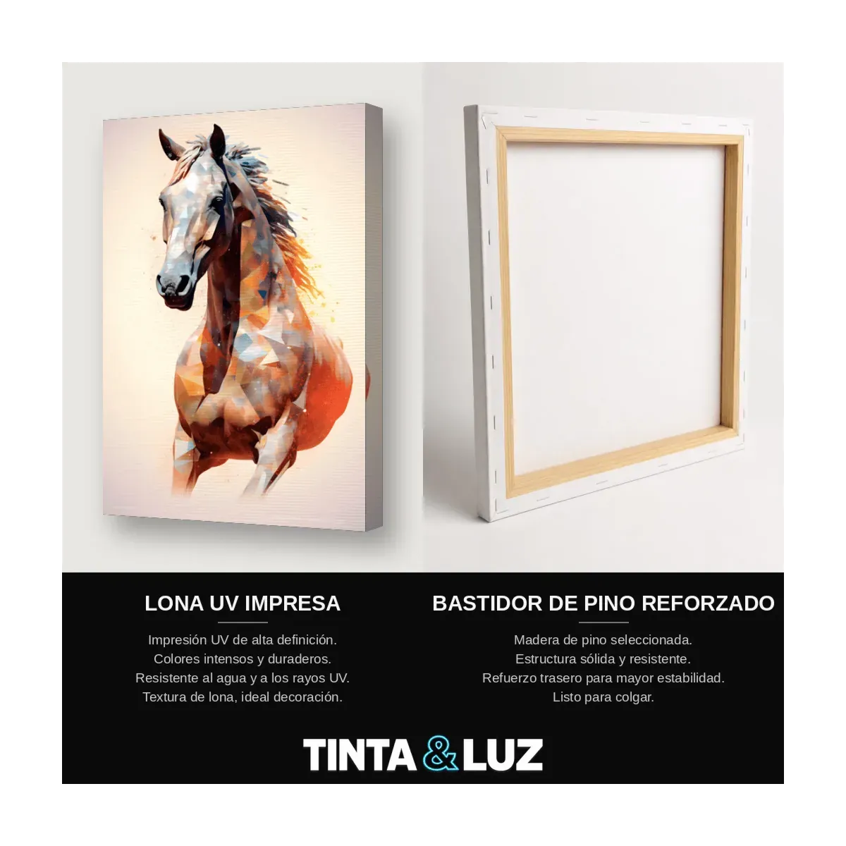 CABALLO PINTURA