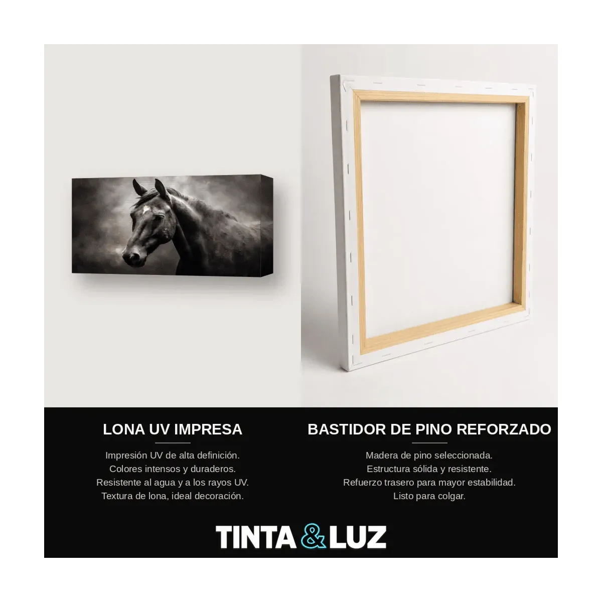 CABALLO NEGRO PINTURA