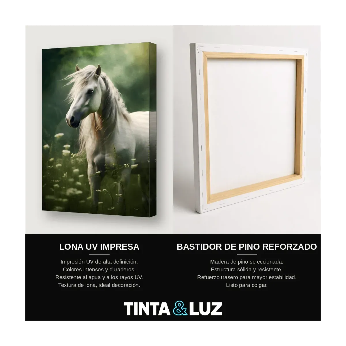 CABALLO BLANCO VII