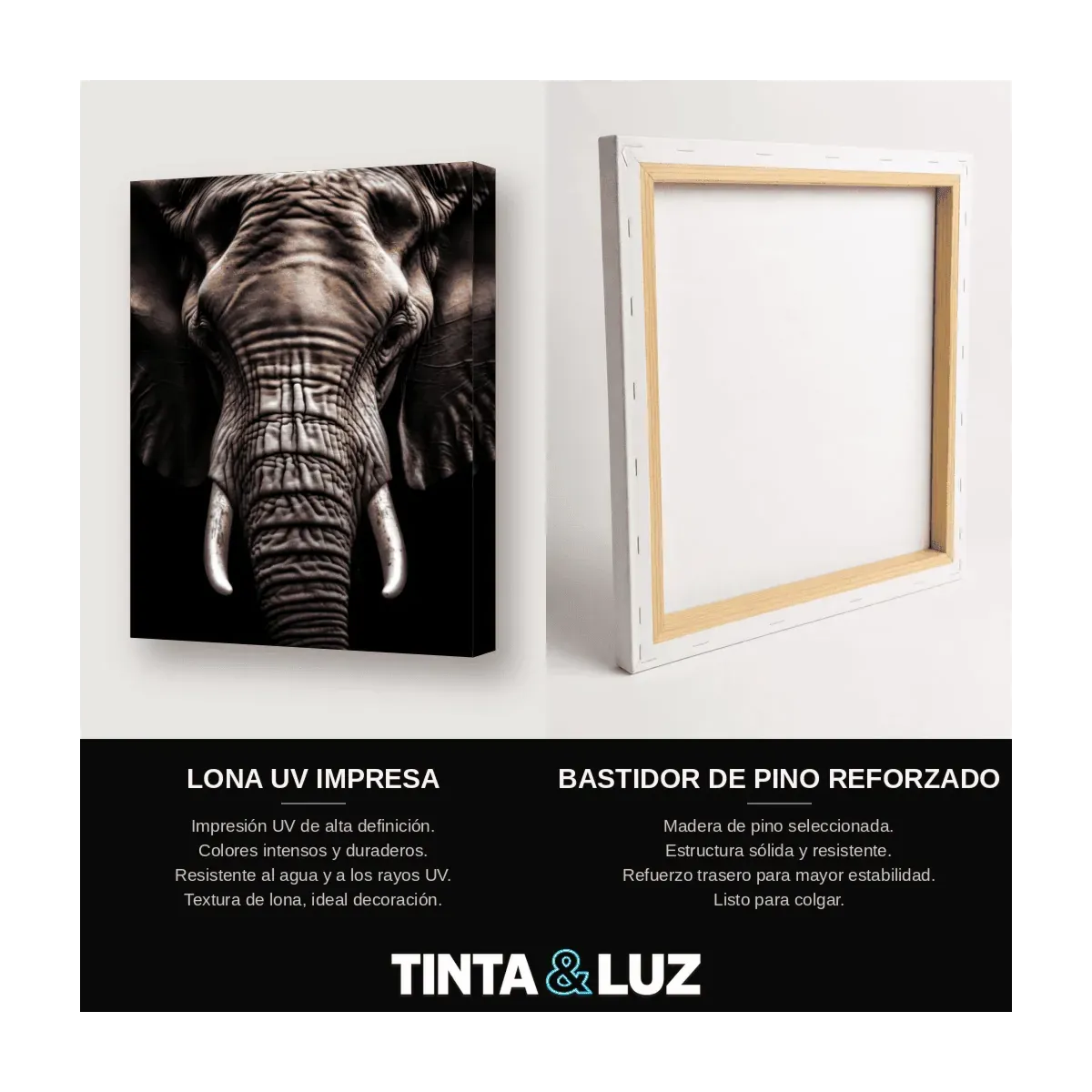 ELEFANTE FRONTAL