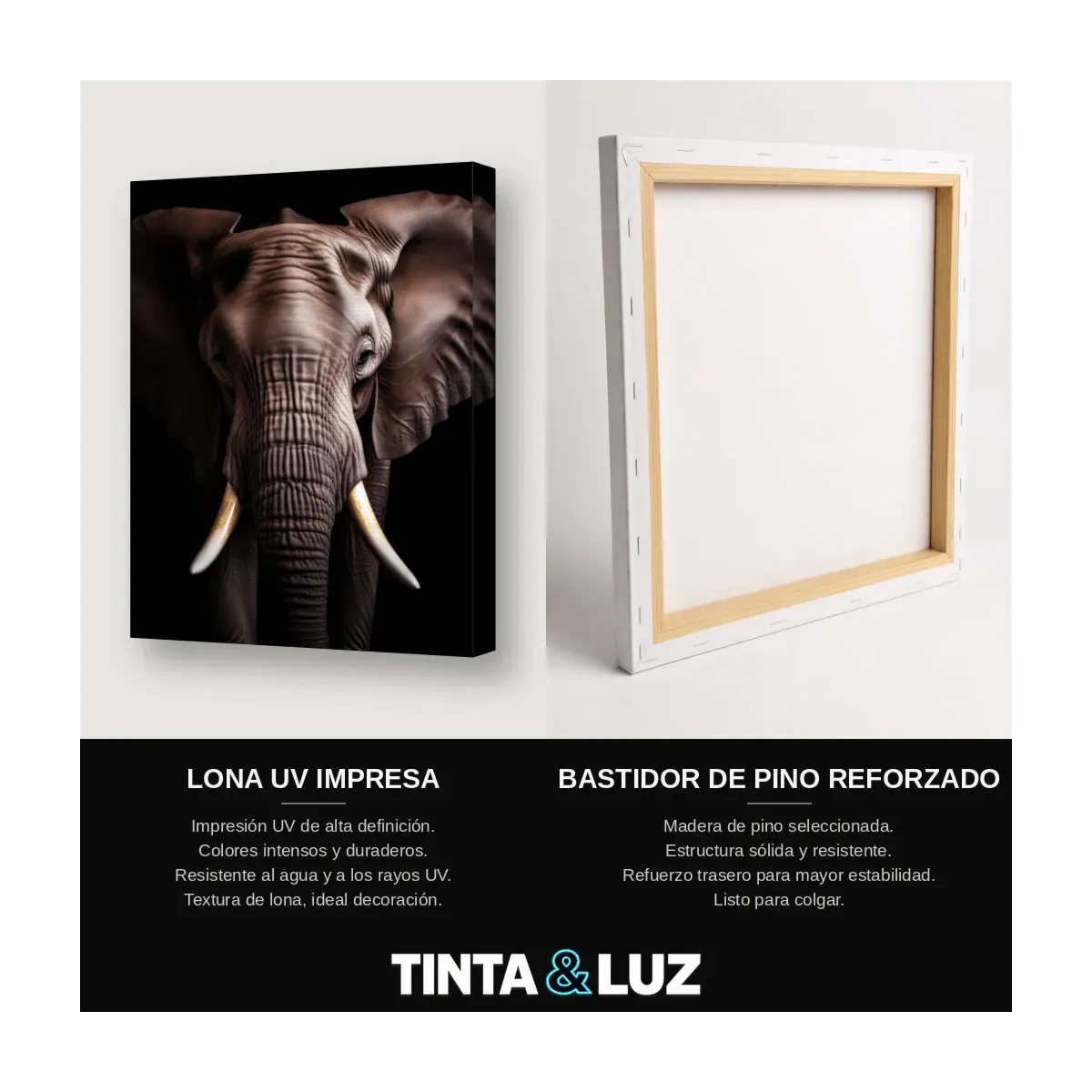 ELEFANTE COLMILLOS