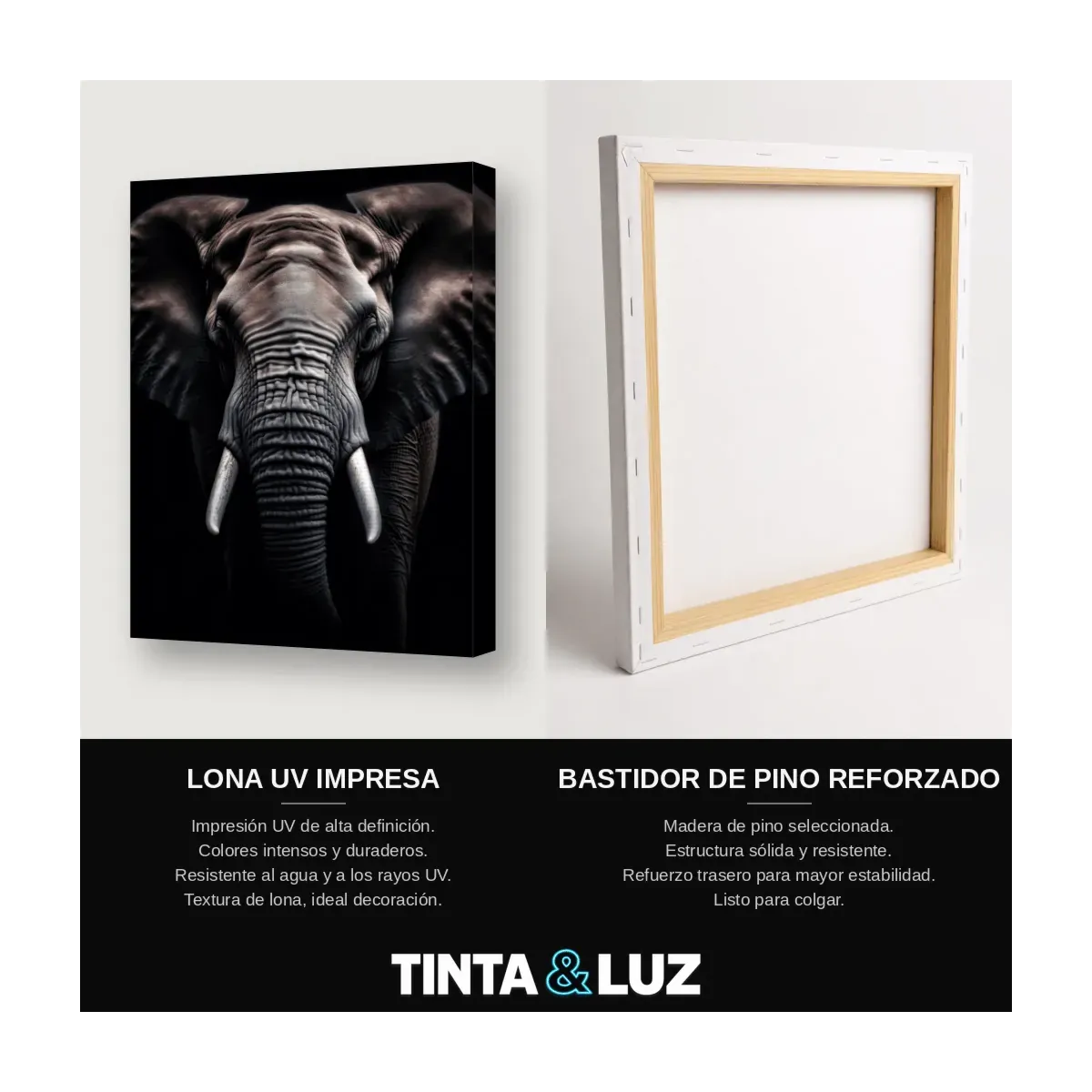 ELEFANTE RETRATO