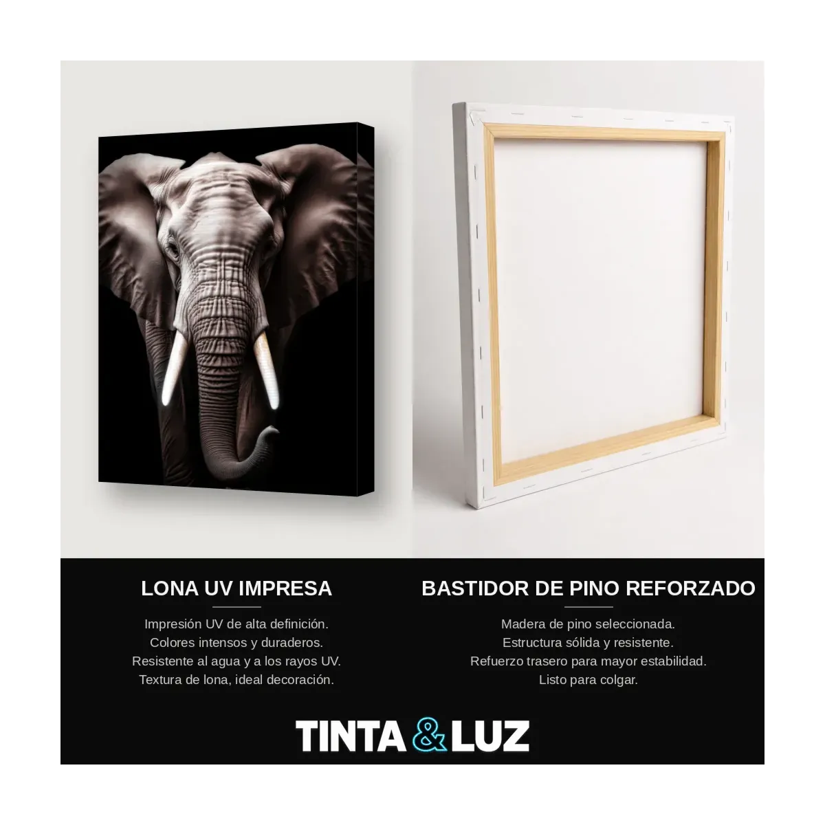 ELEFANTE MAJESTUOSO