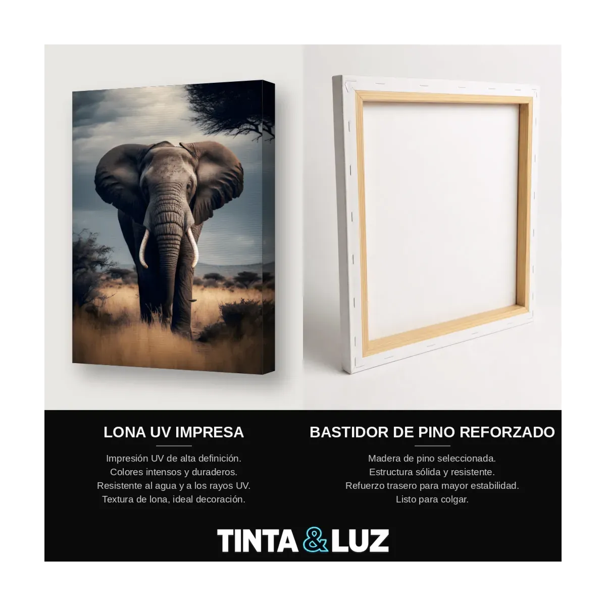 ELEFANTE EN LA SABANA