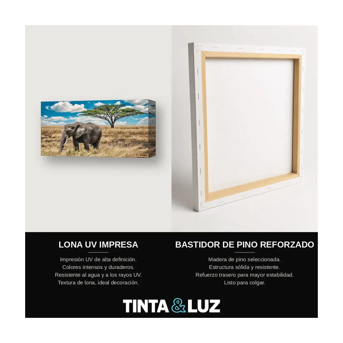 ELEFANTE Y CRÍA