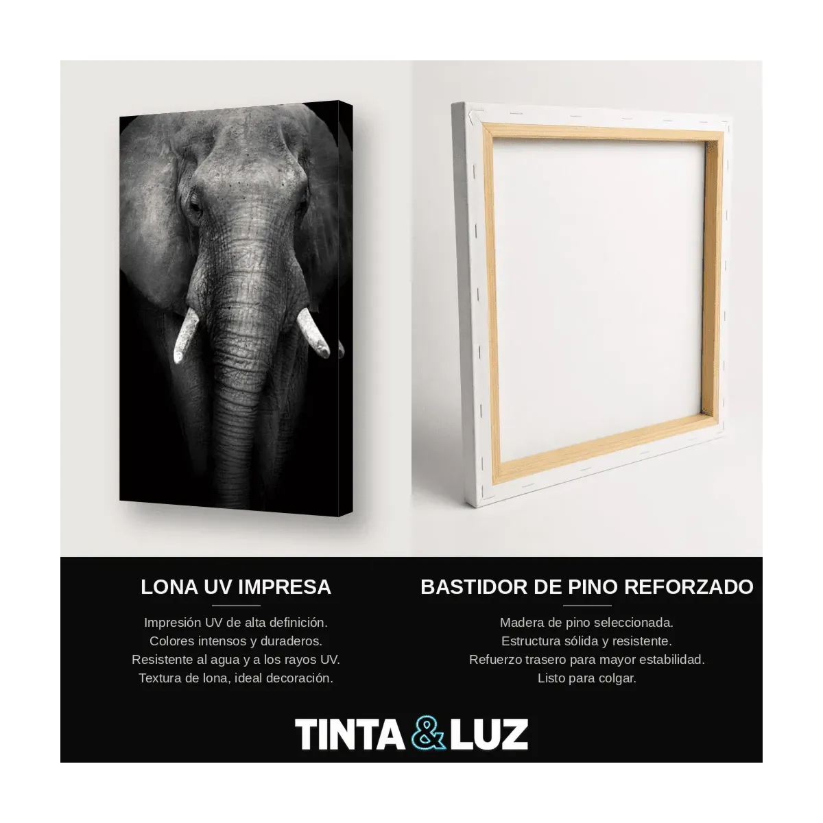 ELEFANTE B&N