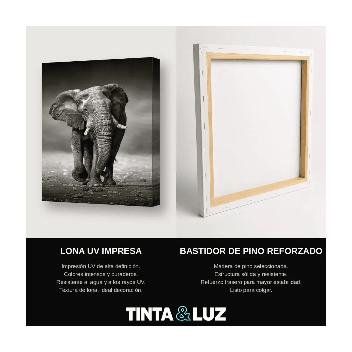 ELEFANTE CAMINANDO
