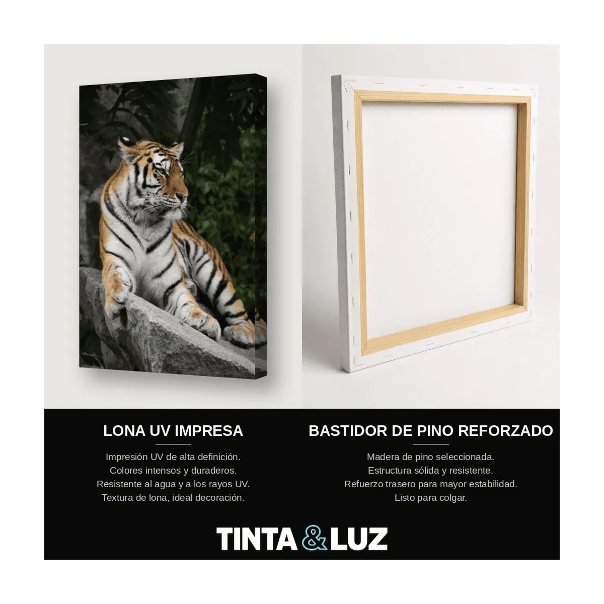 TIGRE MAJESTUOSO