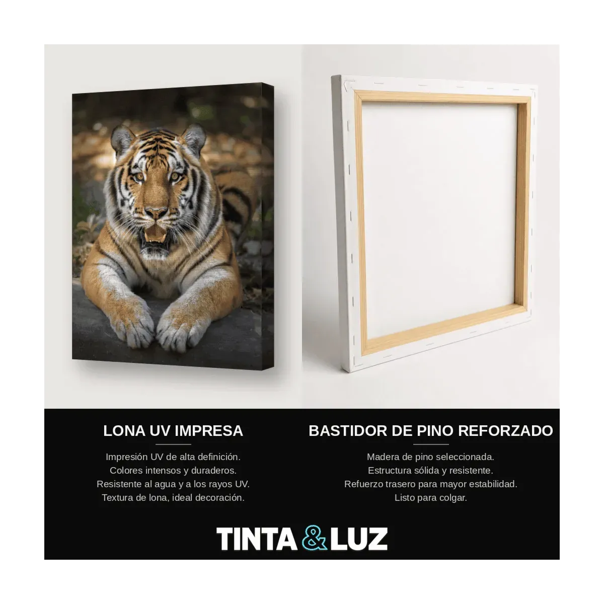 TIGRE EN LA SELVA
