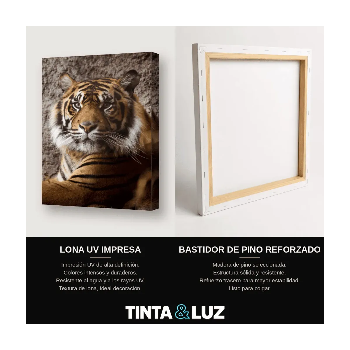 TIGRE BLANCO