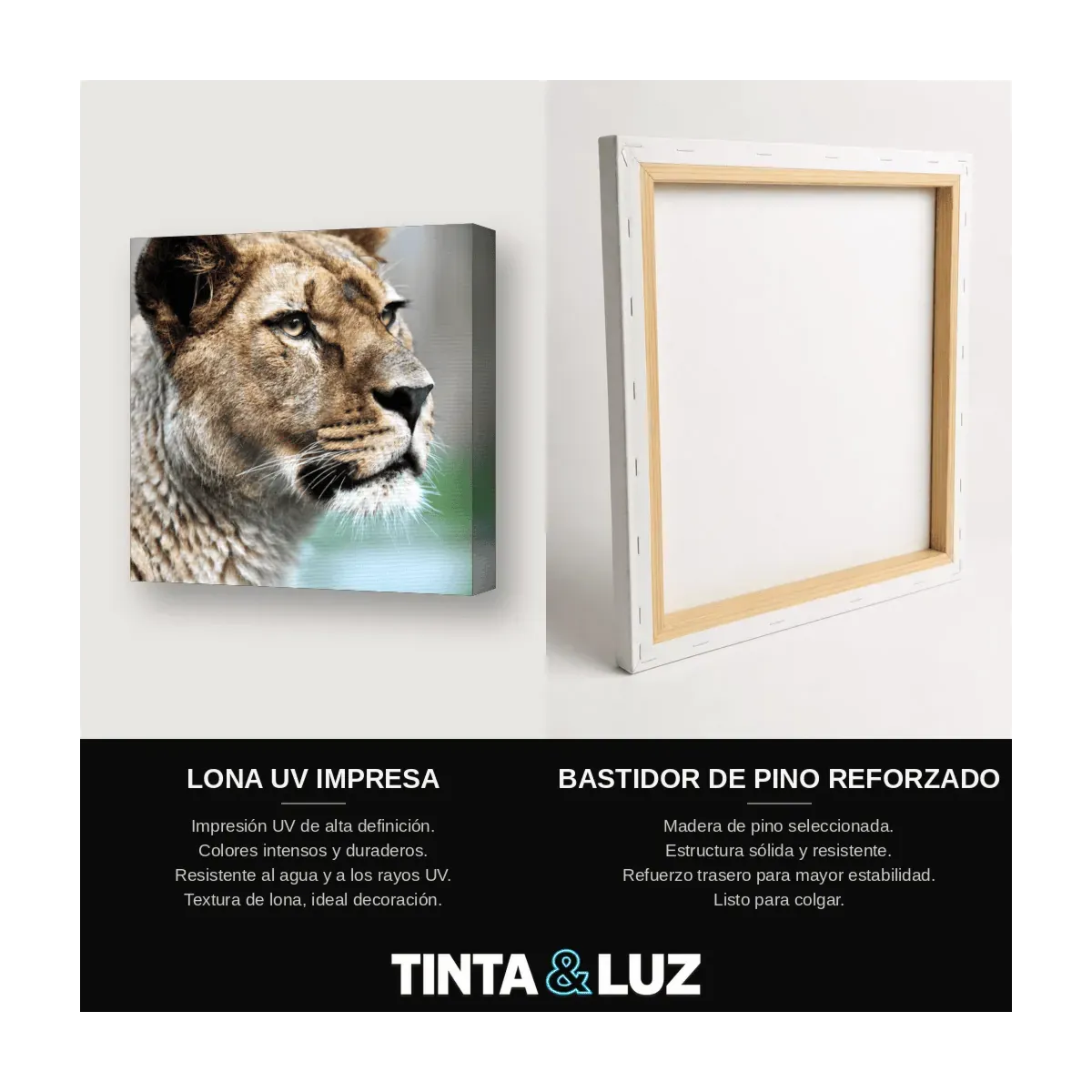 TIGRE EN EL AGUA