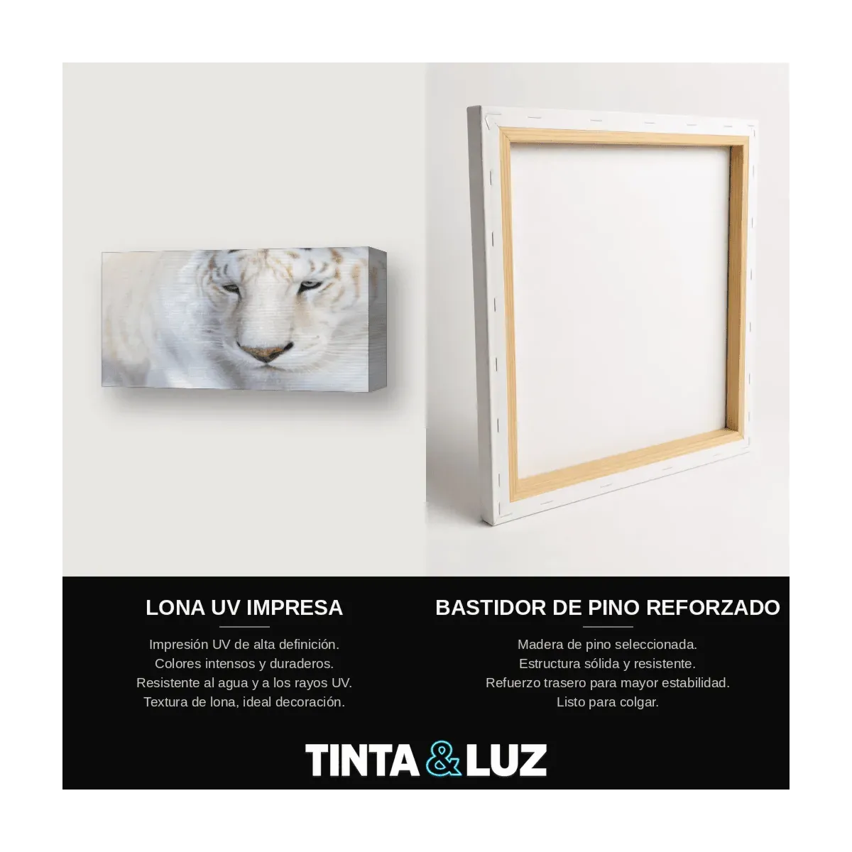 TIGRE RUGIENDO