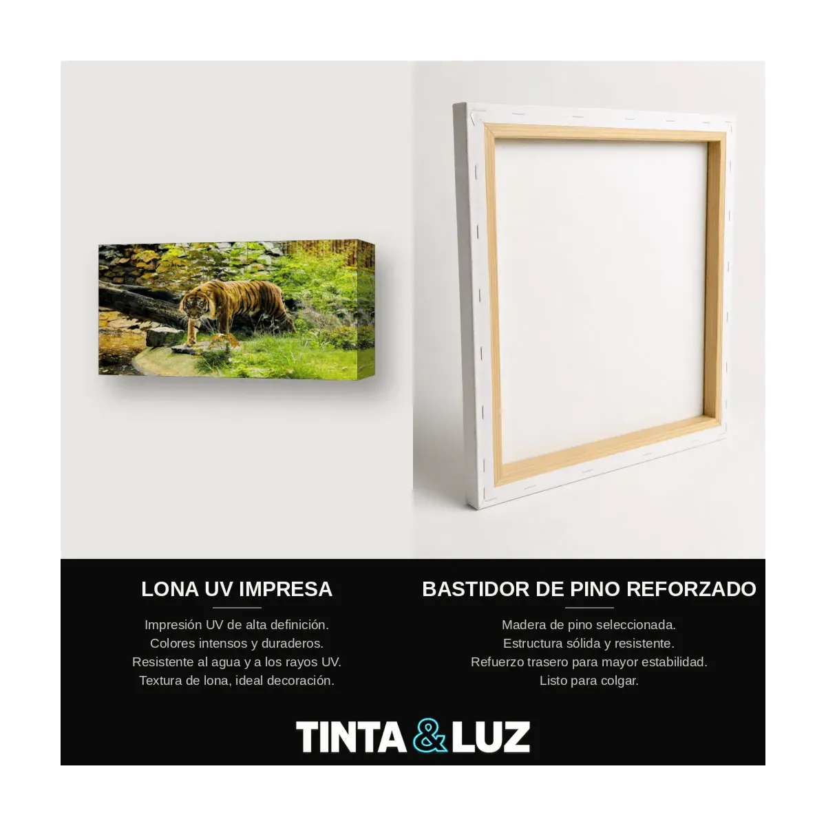 TIGRE FRONTAL