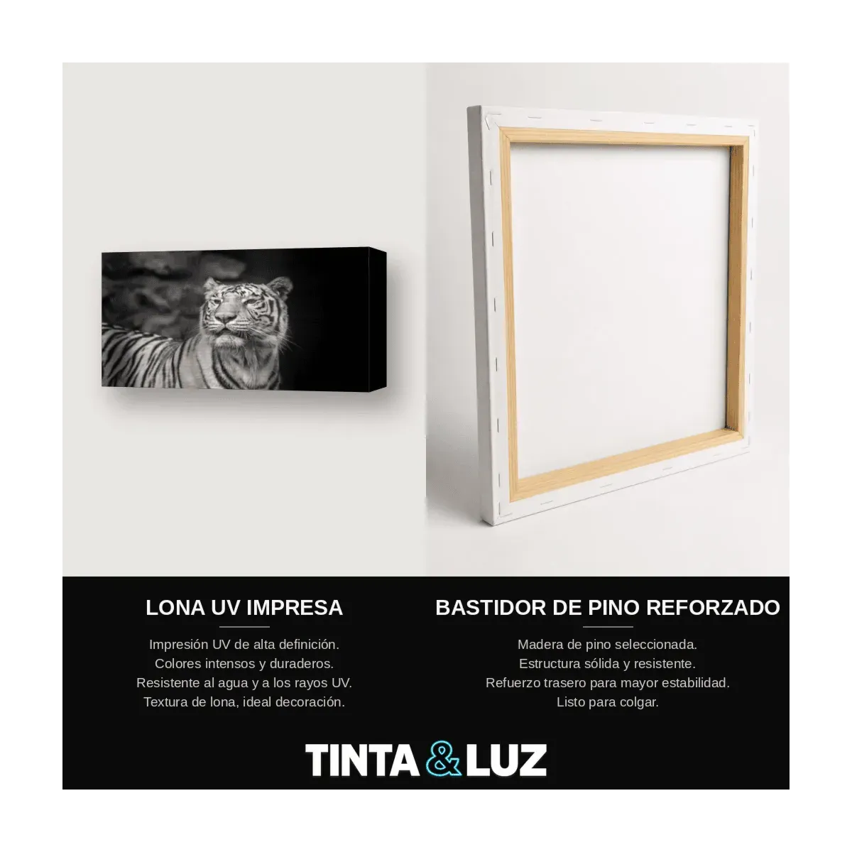 TIGRE Y CACHORRO