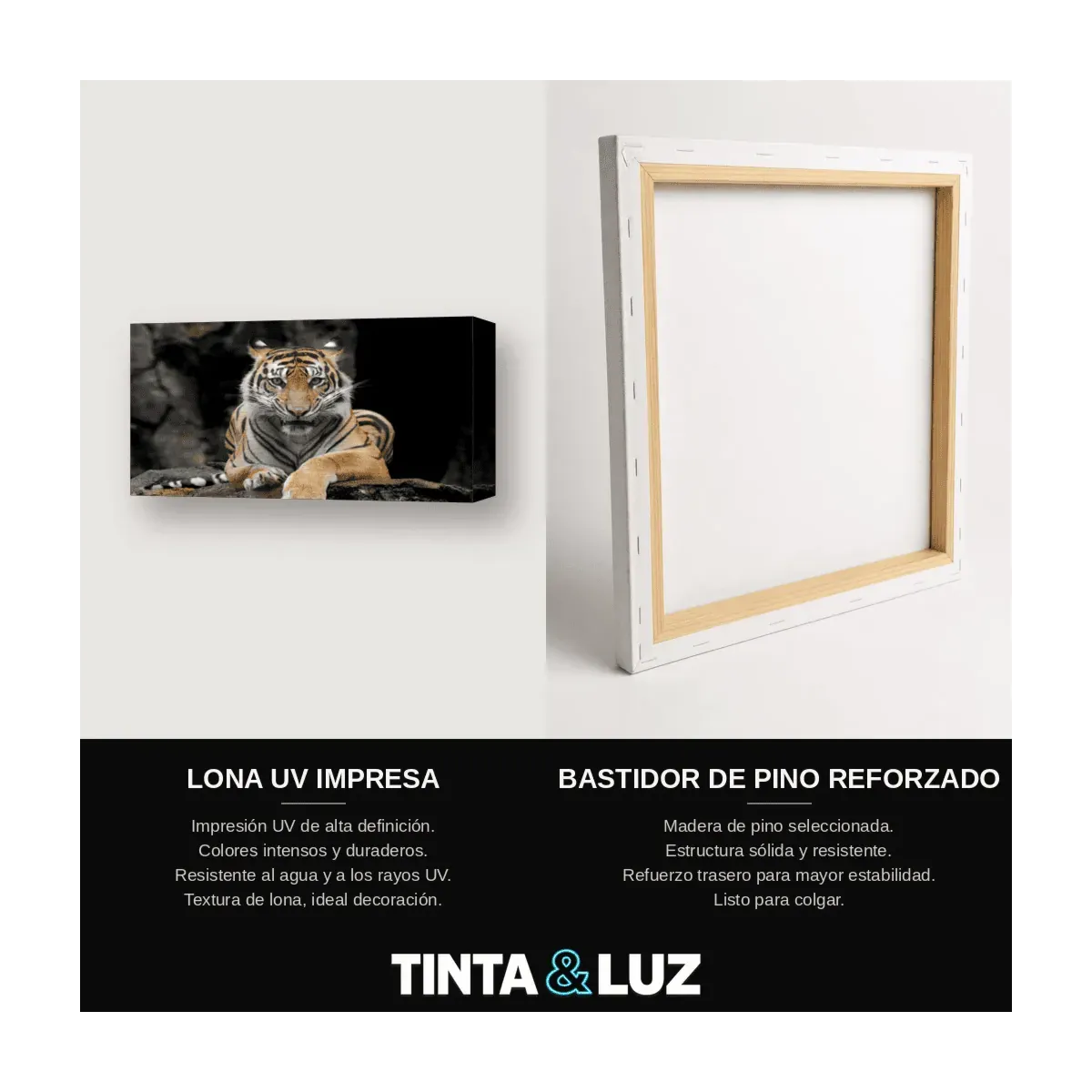 LINCE
