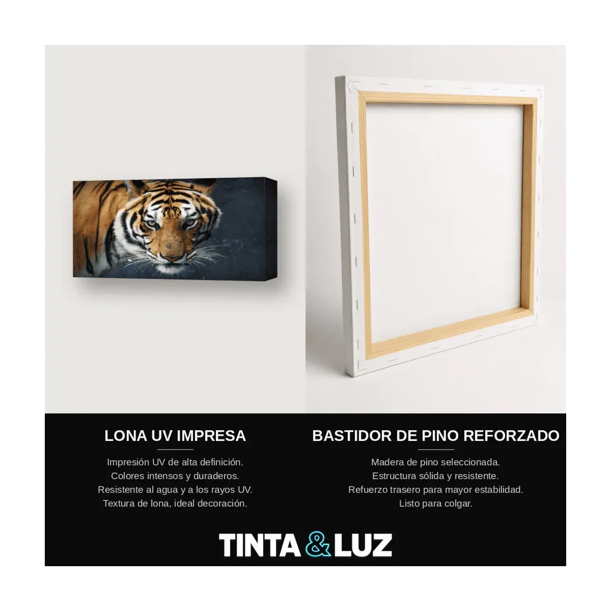 TIGRE DE BENGALA II