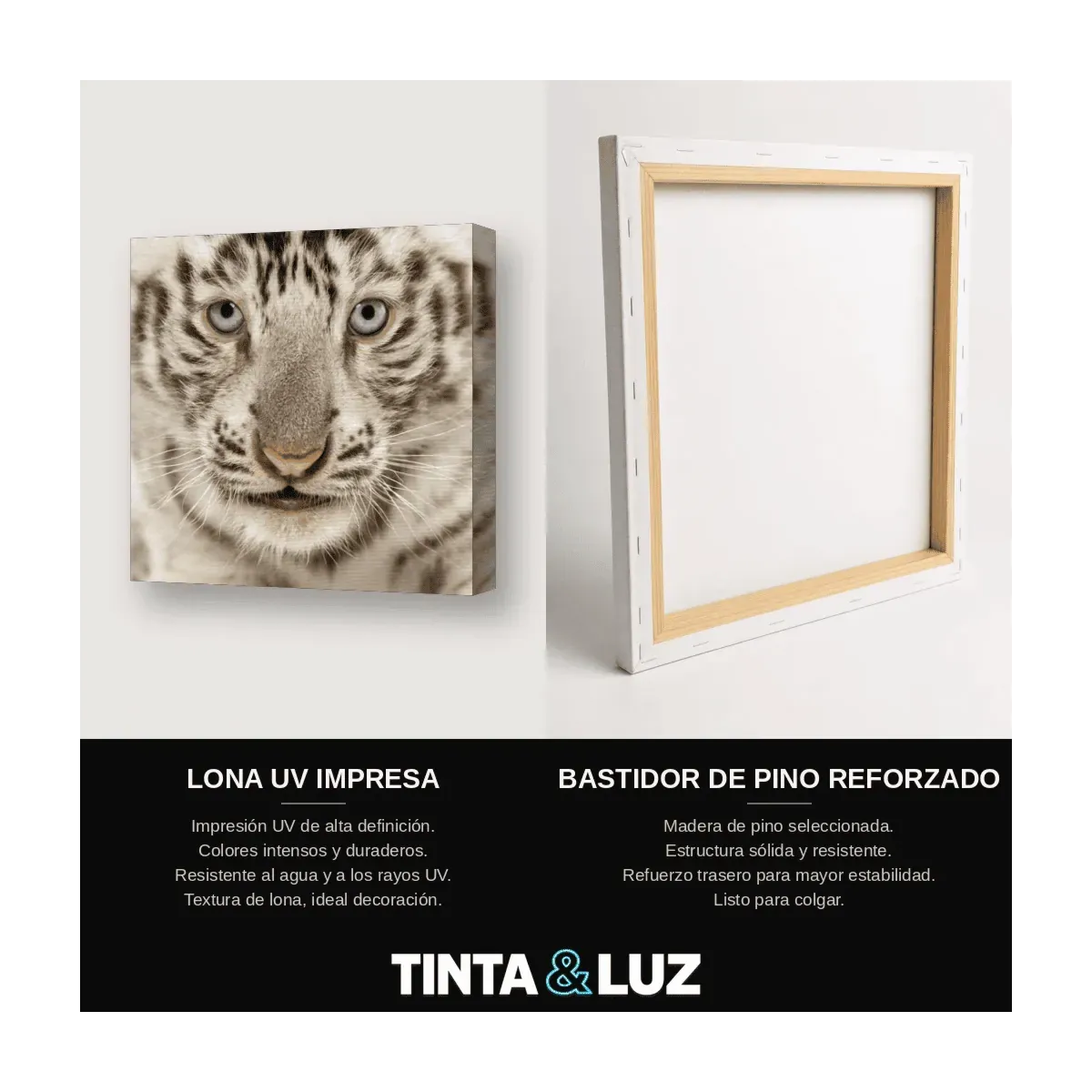 CACHORROS DE TIGRE
