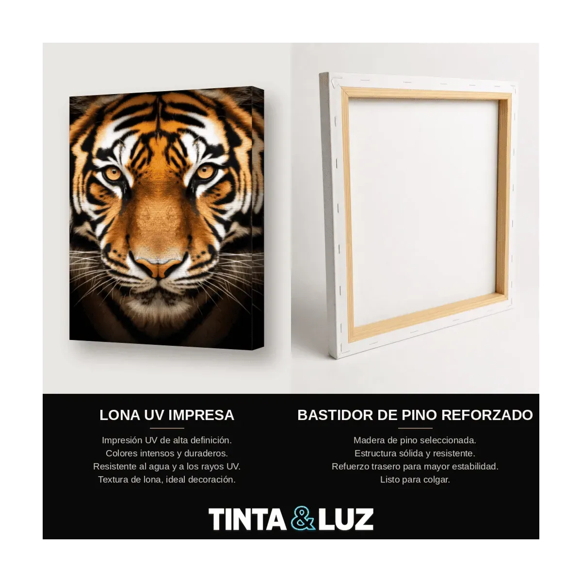 TIGRE OJOS AMBARINOS