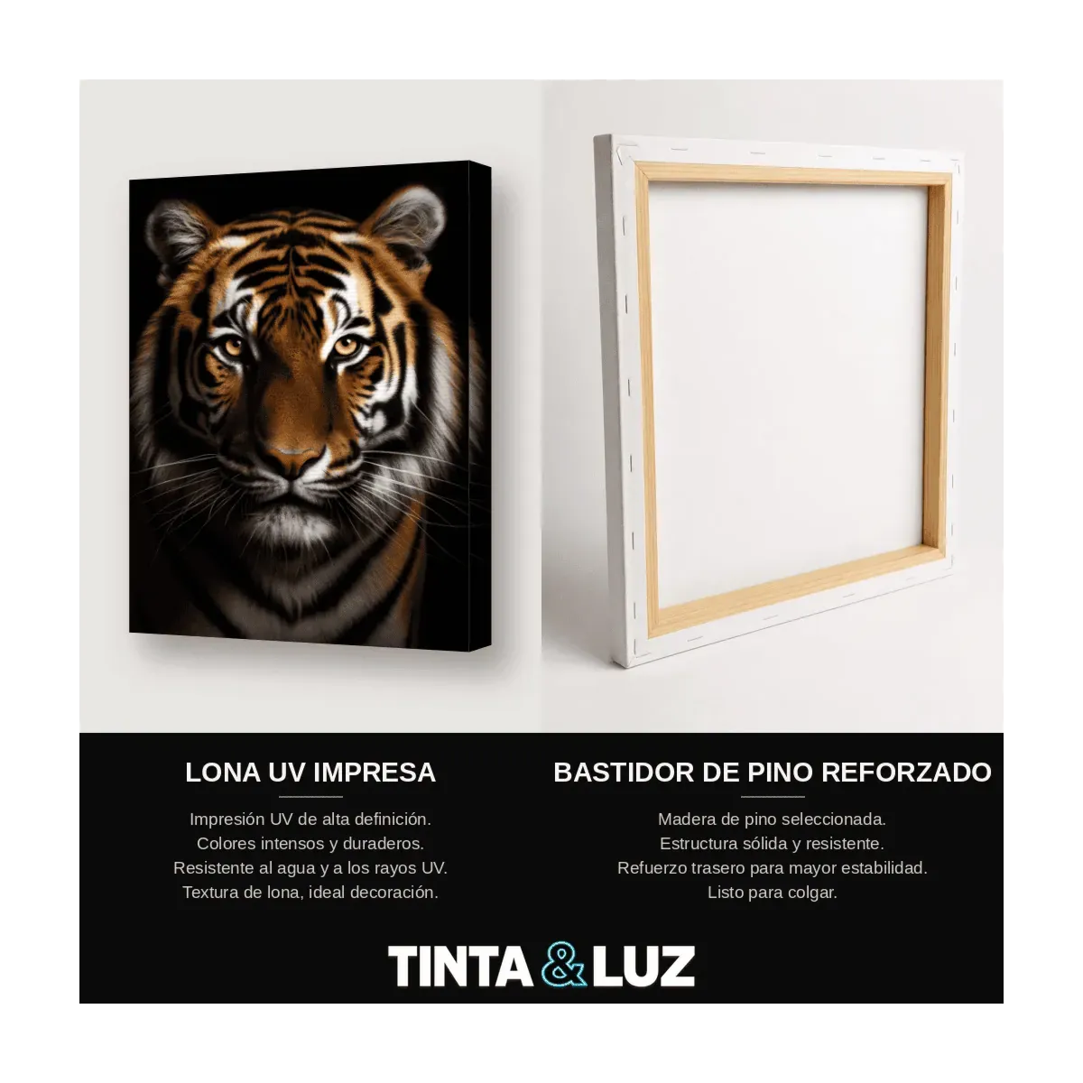 TIGRE FRONTAL II