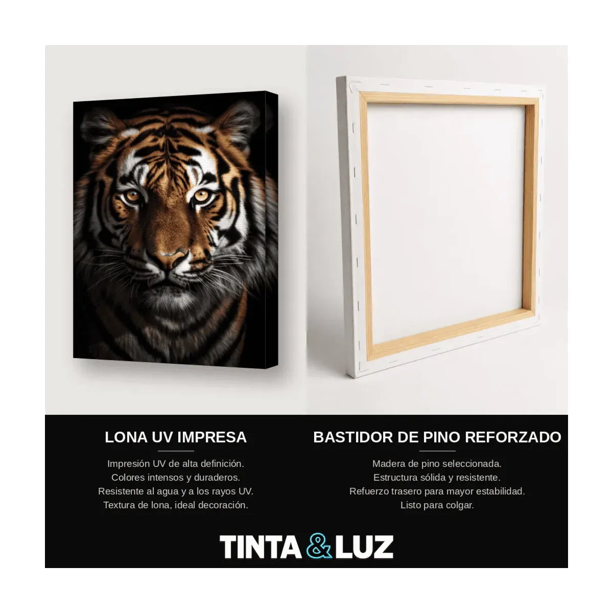 TIGRE DE BENGALA III