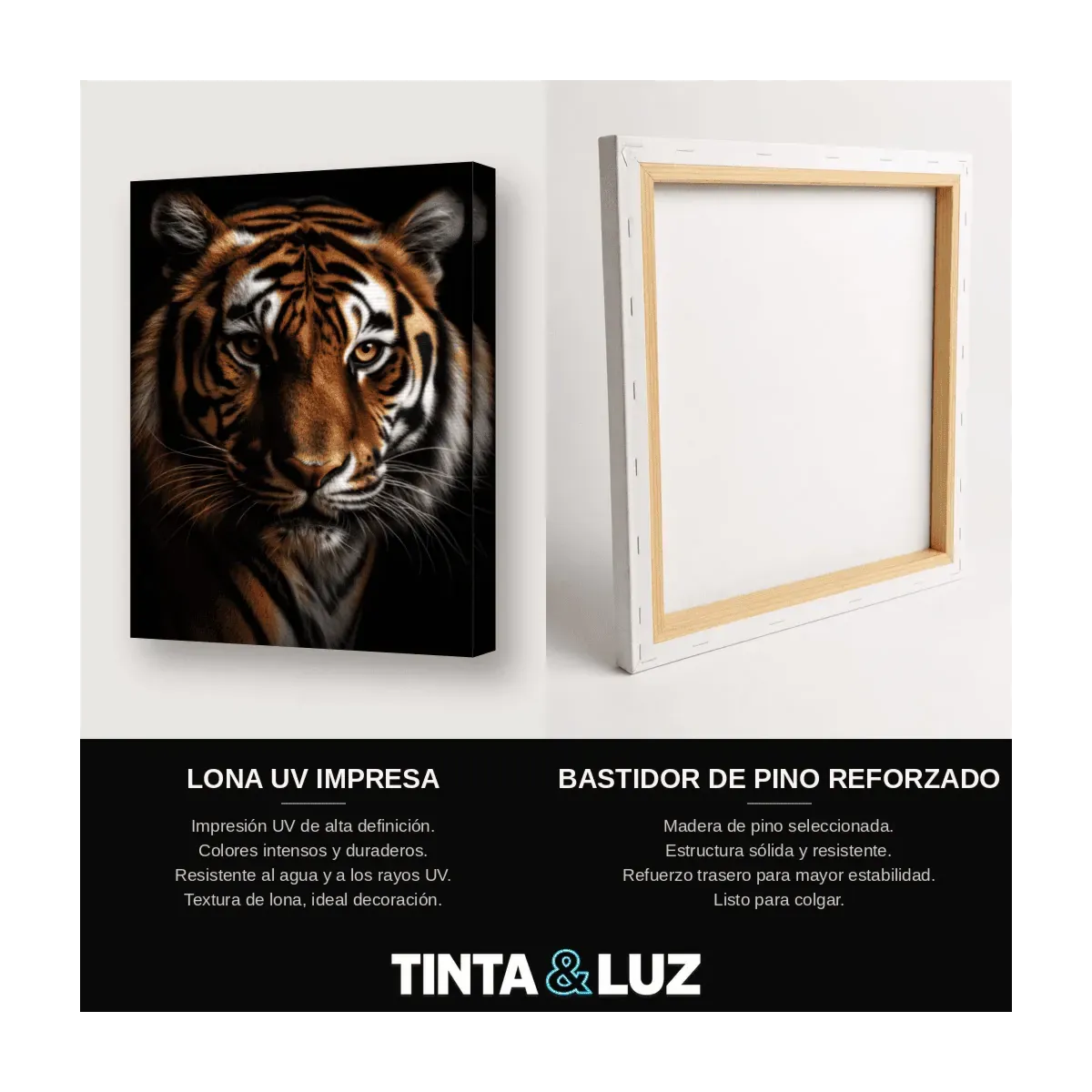 TIGRE MAJESTUOSO II