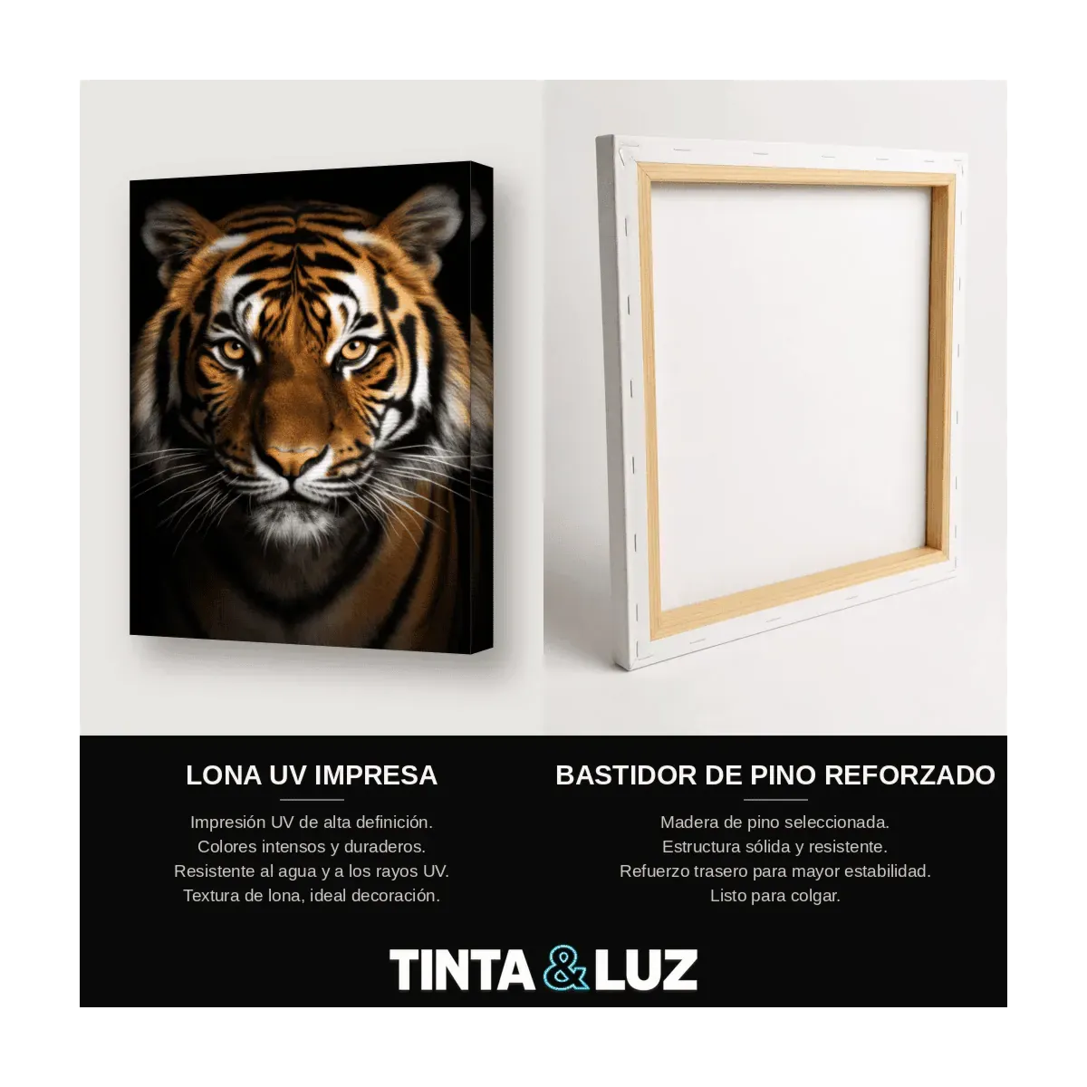 TIGRE MIRADA INTENSA