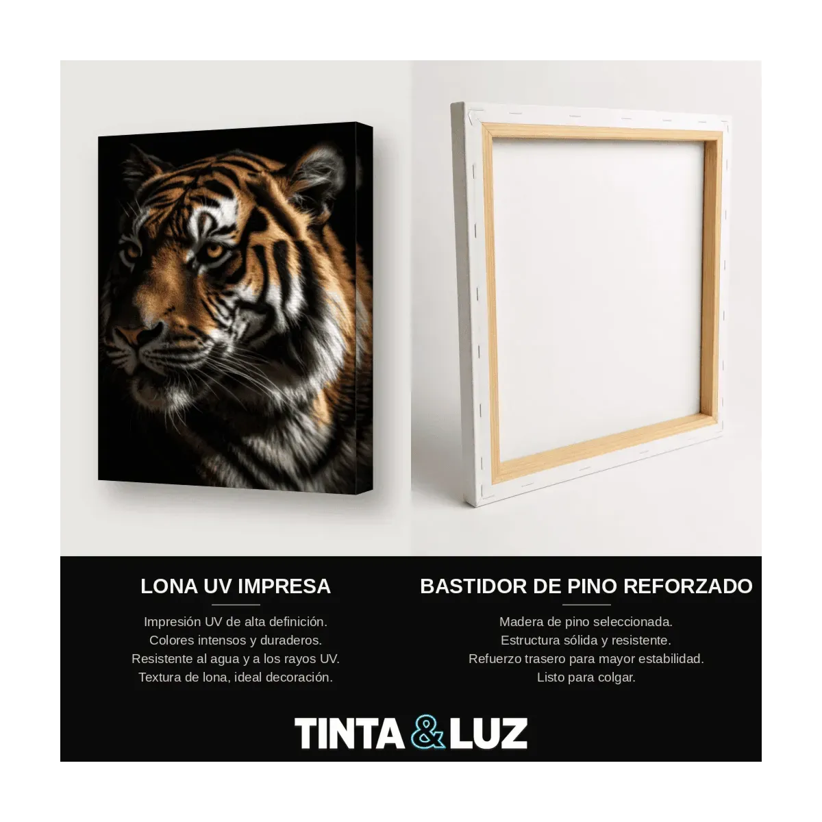 TIGRE DE BENGALA IV